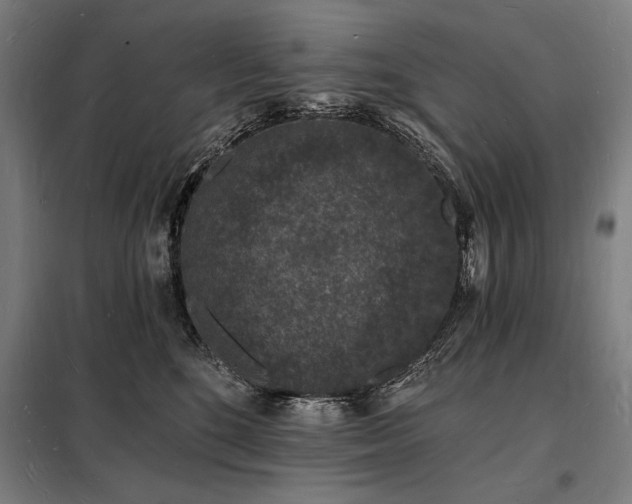 X0000098230520200805011300