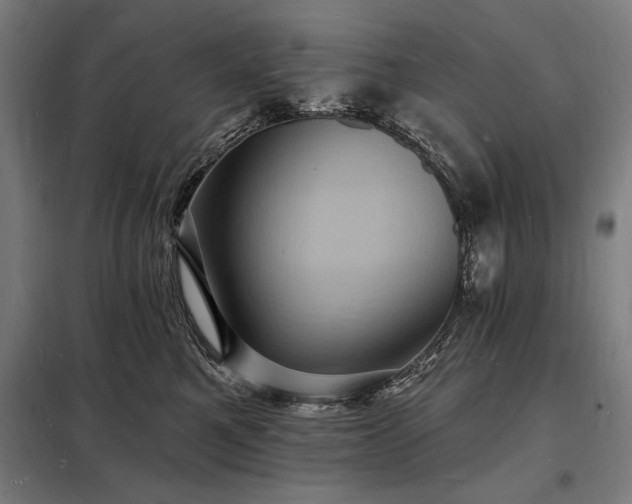 X0000098230521200805011300