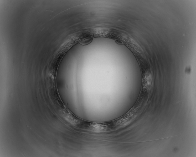 X0000098230522200805011300