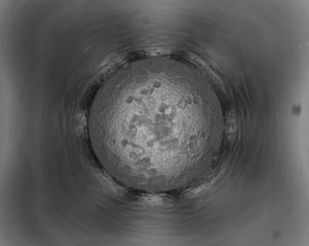 X0000098230523200805011300