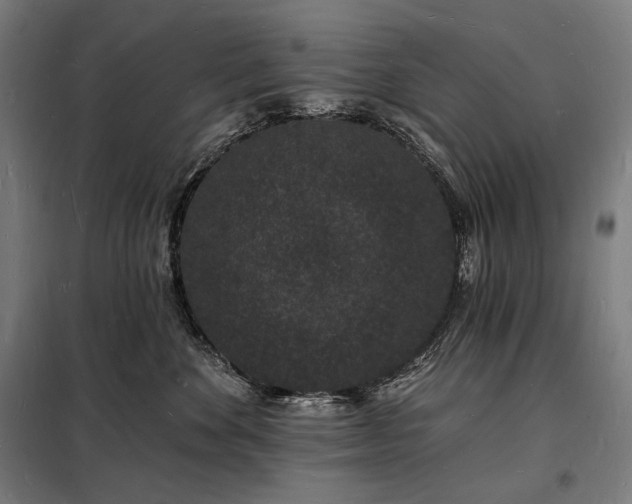 X0000098230524200805011300