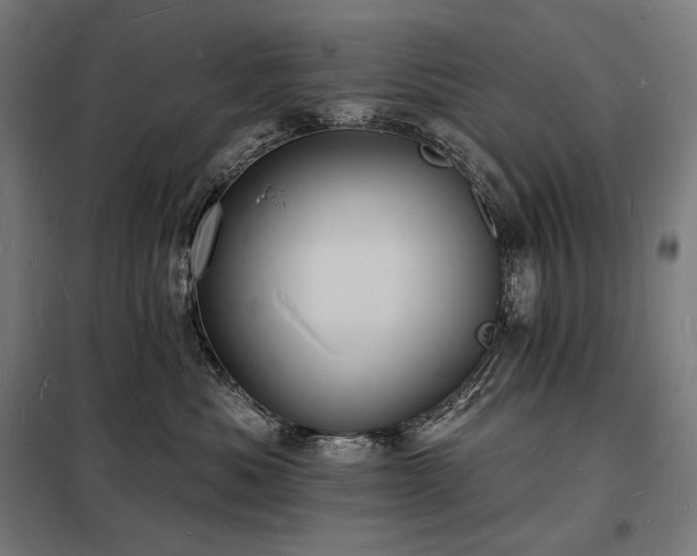 X0000098230525200805011300