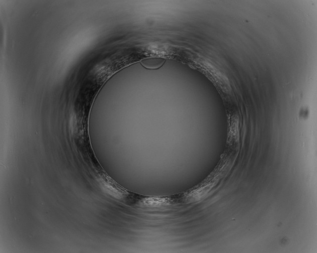 X0000098230526200805011300