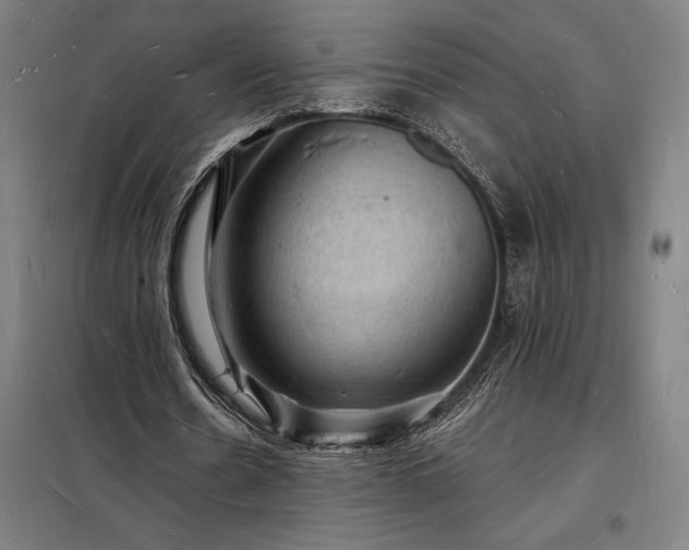X0000098230530200805011300