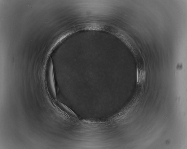 X0000098230531200805011300