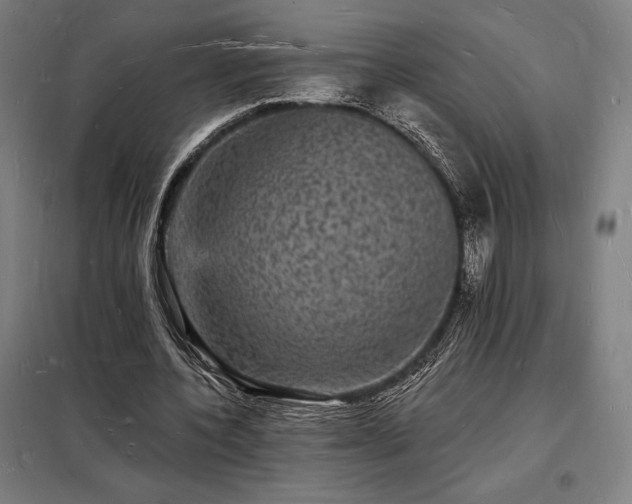 X0000098230532200805011300