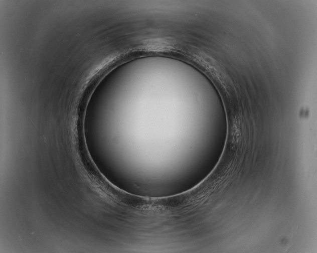 X0000098230535200805011300