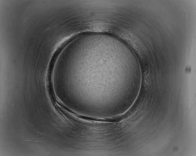 X0000098230536200805011300