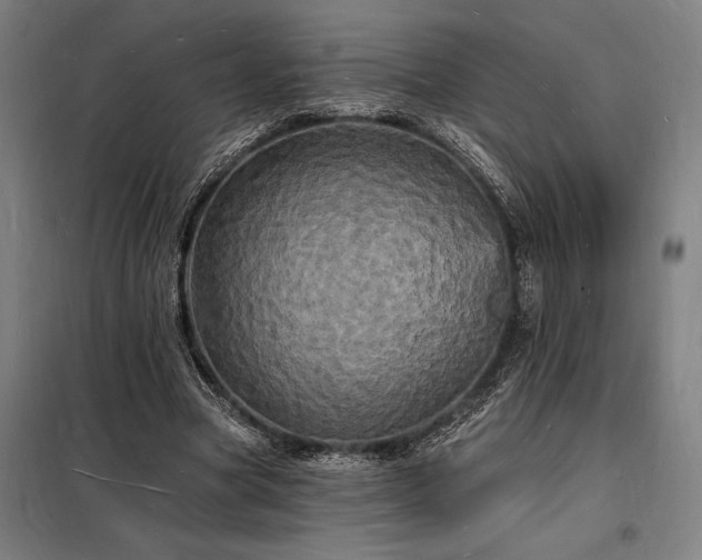 X0000098230537200805011300
