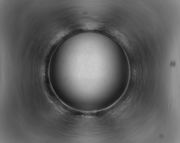 X0000098230539200805011300