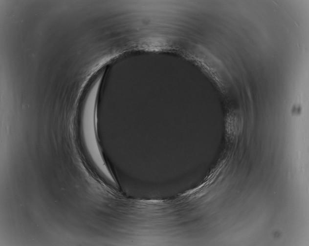 X0000098230540200805011300