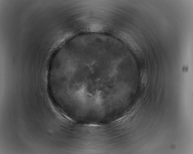 X0000098230542200805011300