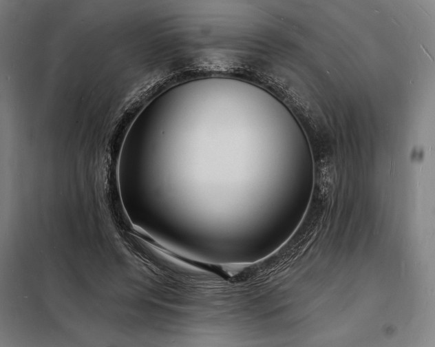 X0000098230544200805011300