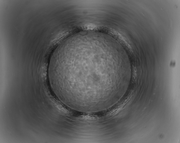 X0000098230545200805011300