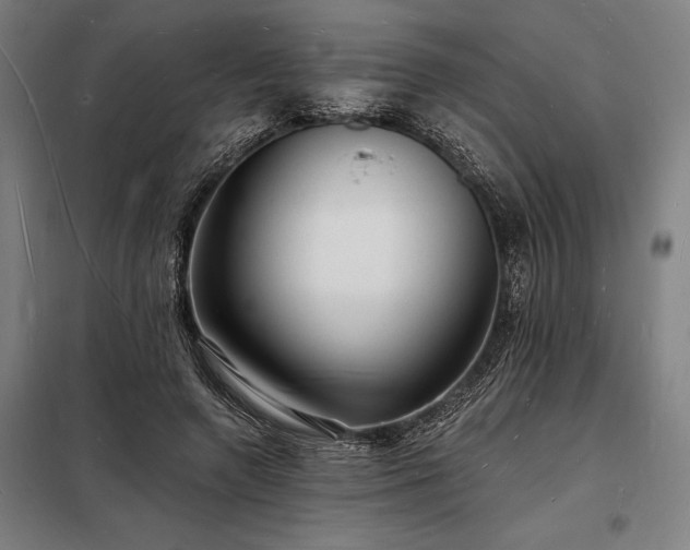 X0000098230546200805011300