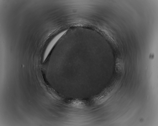 X0000098230547200805011300