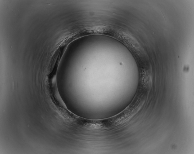 X0000098230548200805011300