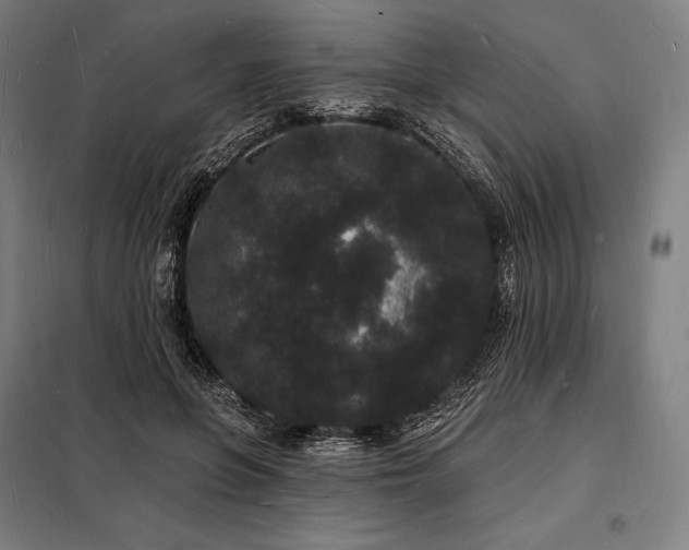 X0000098230551200805011300