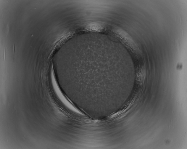 X0000098230552200805011300