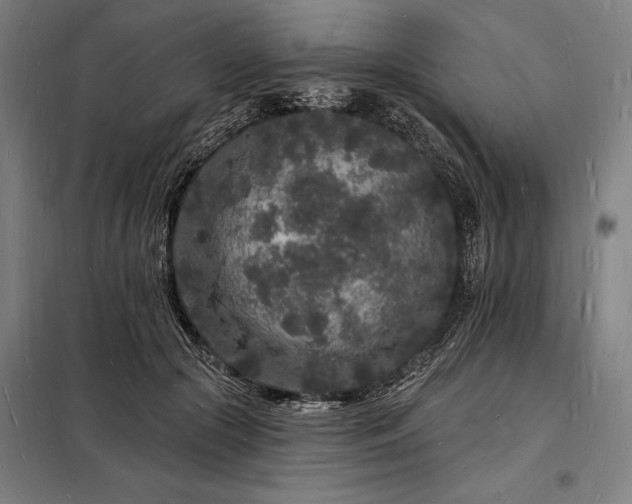 X0000098230553200805011300
