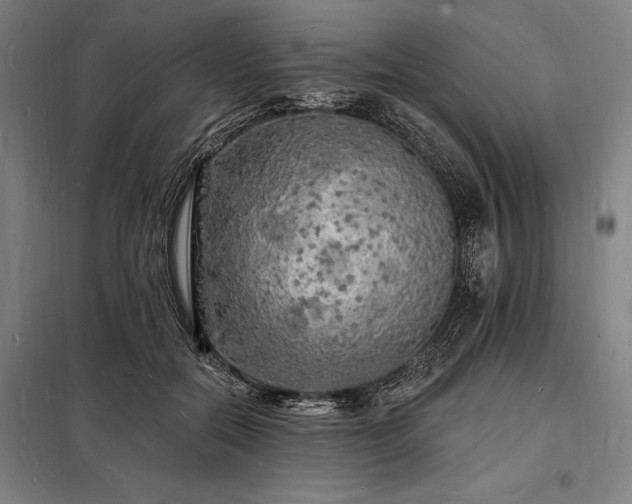 X0000098230554200805011300
