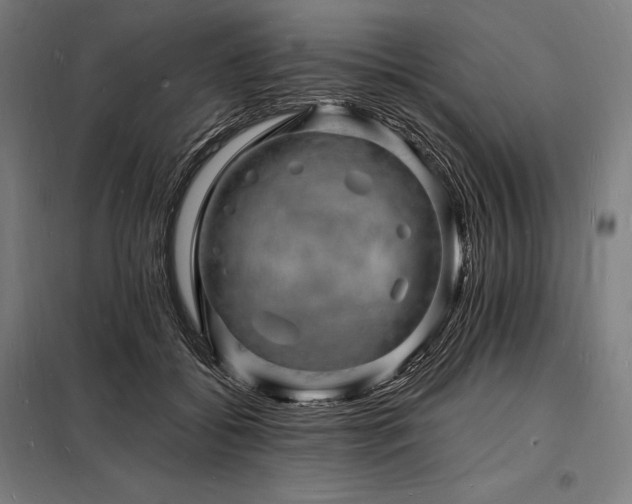 X0000098230556200805011300