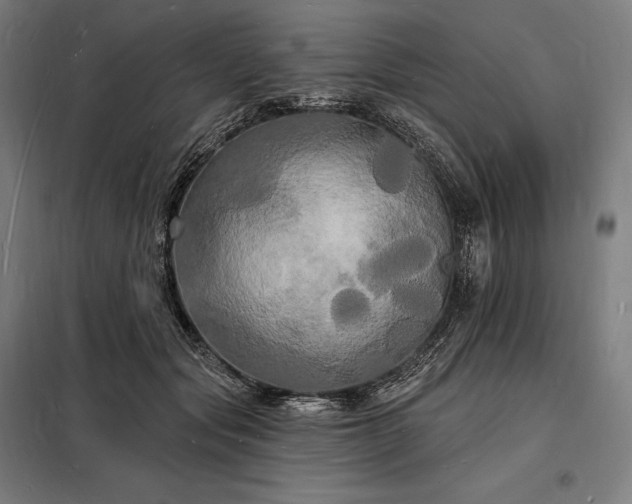 X0000098230557200805011300