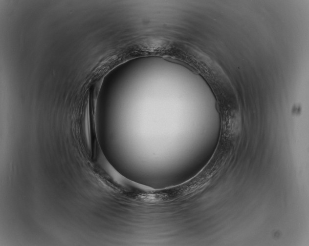 X0000098230558200805011300