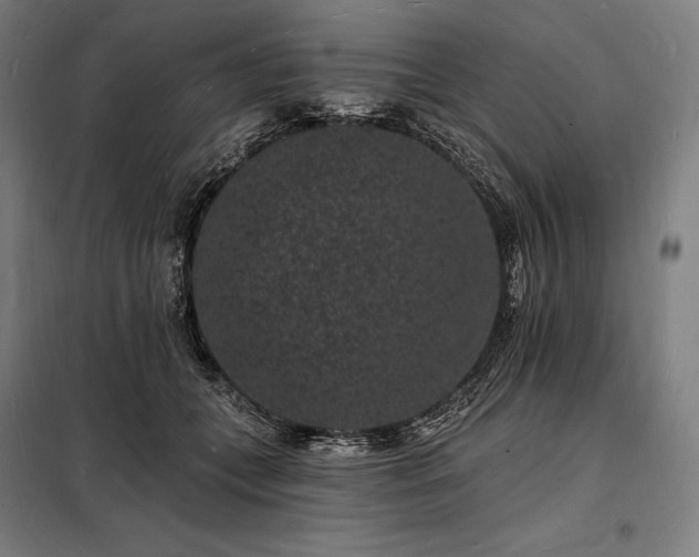 X0000098230559200805011300