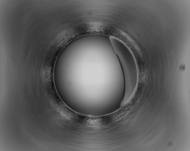 X0000098230560200805011300