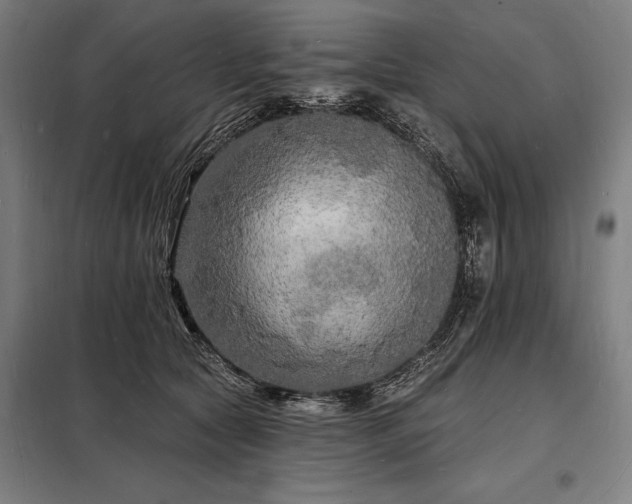 X0000098230561200805011300
