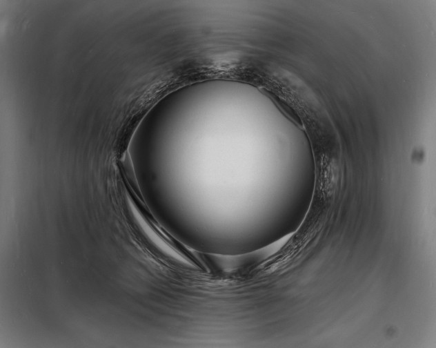 X0000098230562200805011300