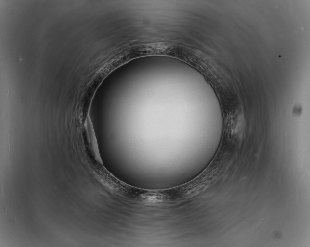 X0000098230564200805011300