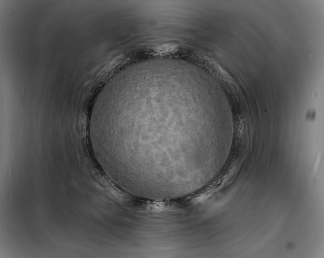 X0000098230565200805011300