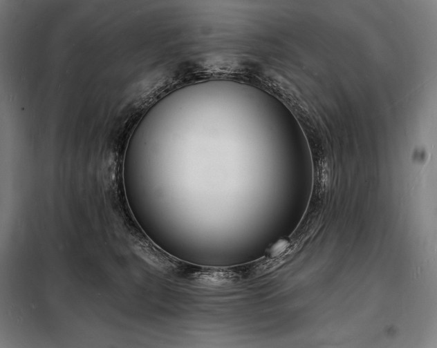 X0000098230567200805011300