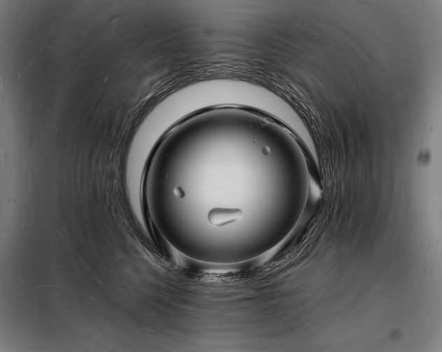 X0000098230568200805011300