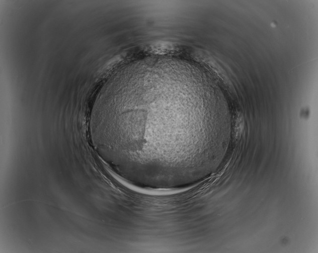 X0000098230569200805011300