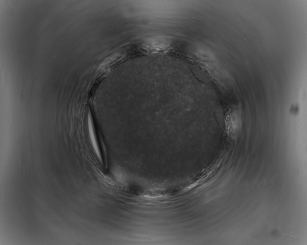 X0000098230570200805011300
