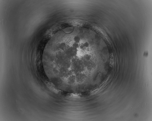 X0000098230573200805011300