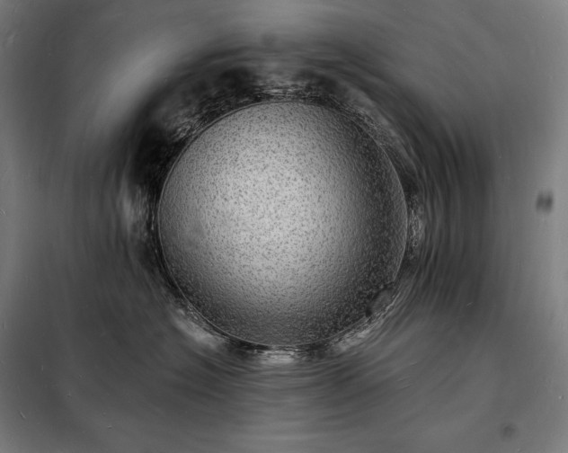 X0000098230574200805011300
