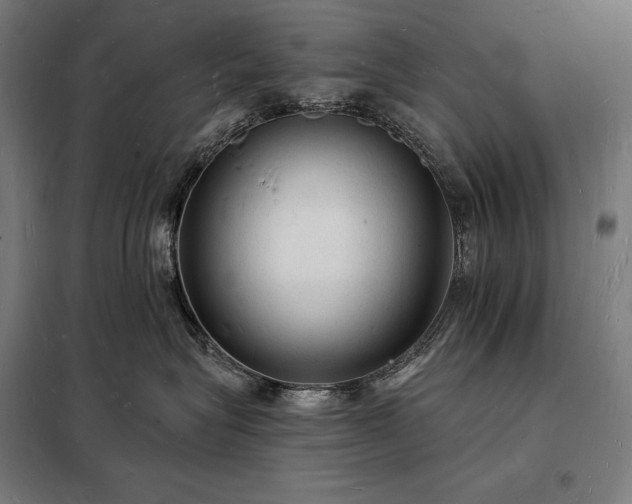 X0000098230575200805011300