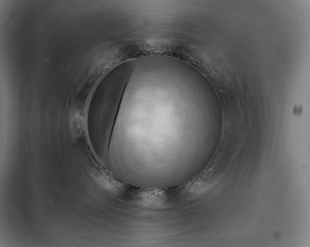 X0000098230576200805011300