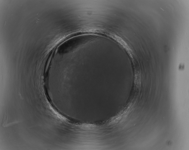 X0000098230577200805011259