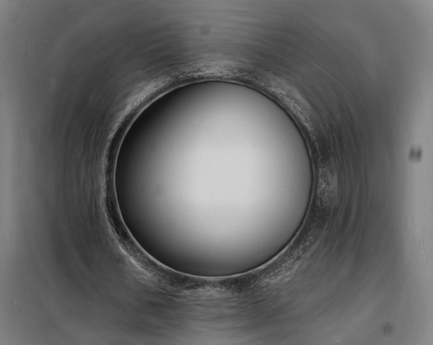 X0000098230578200805011259