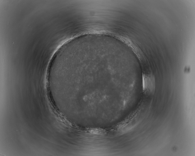 X0000098230579200805011259