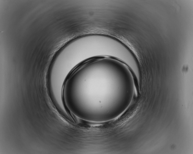 X0000098230581200805011259