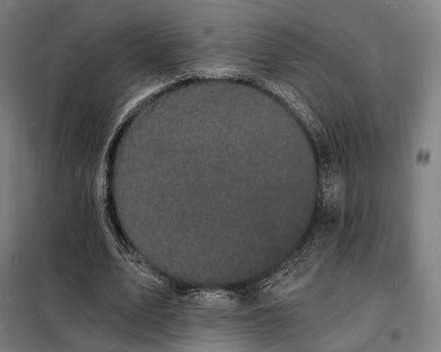 X0000098230583200805011259