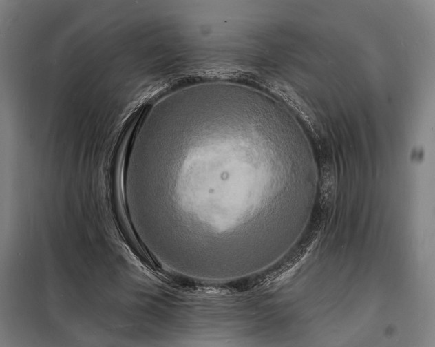 X0000098230585200805011259