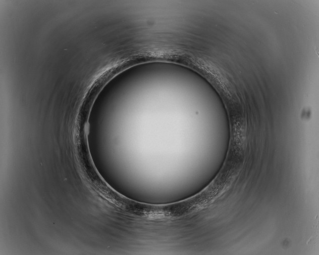 X0000098230587200805011259