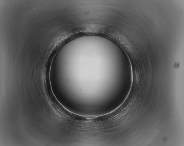 X0000098230588200805011259